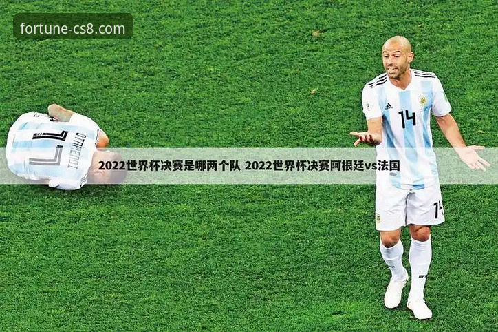 捷克足球重返世界杯：在财神8平台官网观看赛事的使用教程与事件解析